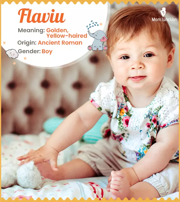 Flaviu: Name Meaning, Origin, History, And Popularity | MomJunction