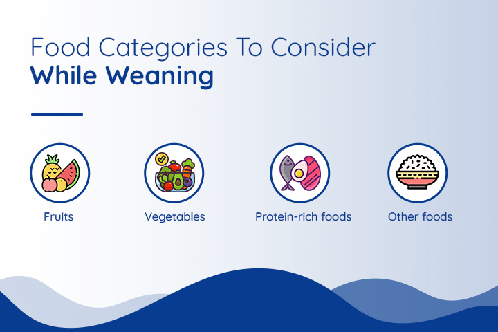 Food Categories To Consider While Weaning 