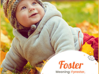 Foster, meaning forester