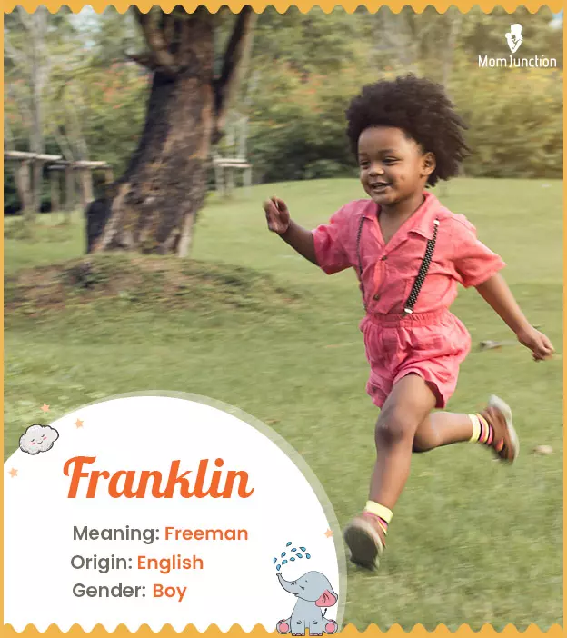 franklin: Name Meaning, Origin, History, And Popularity_image