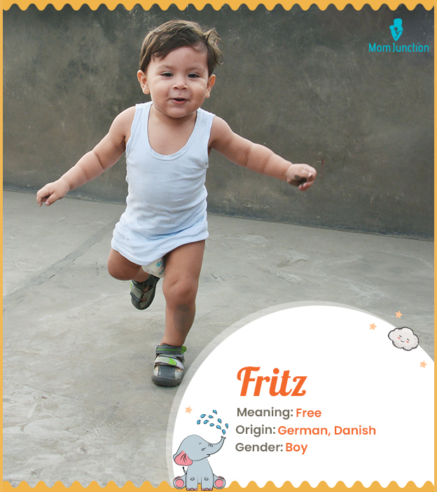 Now Available – Fritz 19 Download with INSTANT ACCESS - The House
