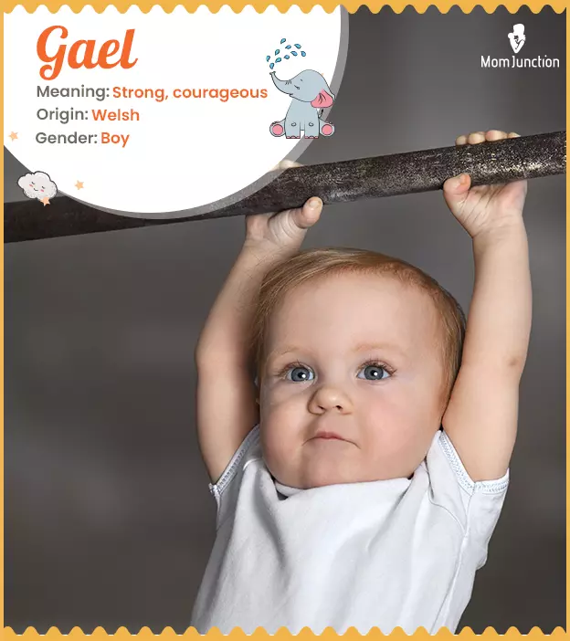 Gael: Name Meaning, Origin, History, And Popularity | MomJunction