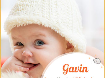 Gavin, the one who is God sent