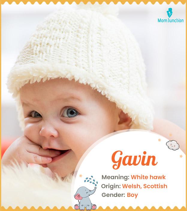 Gavin Name Meaning, Origin, History, And Popularity_image