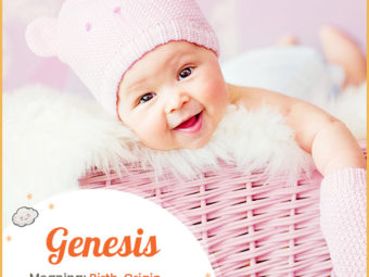 Genesis, a name that evokes innovation, creativity, and endless possibilities