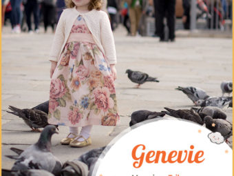 Genevie is of French origin