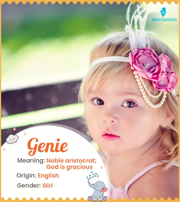 genie: Name Meaning, Origin, History, And Popularity_image