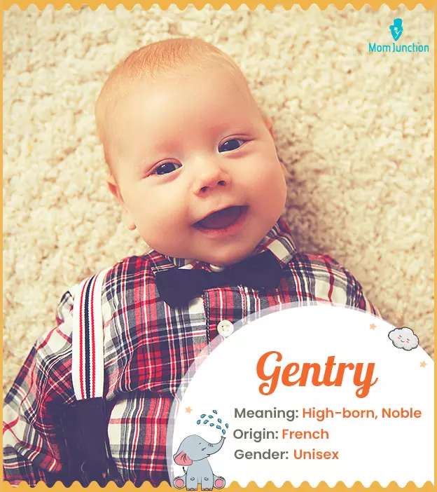 gentry: Name Meaning, Origin, History, And Popularity | MomJunction