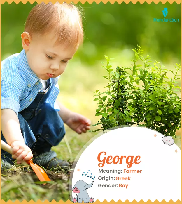 George: Name Meaning, Origin, History, And Popularity | MomJunction