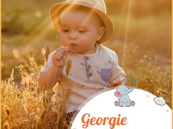 Georgie, a humble earthworker
