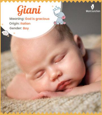 Explore Giani: Meaning, Origin & Popularity_image