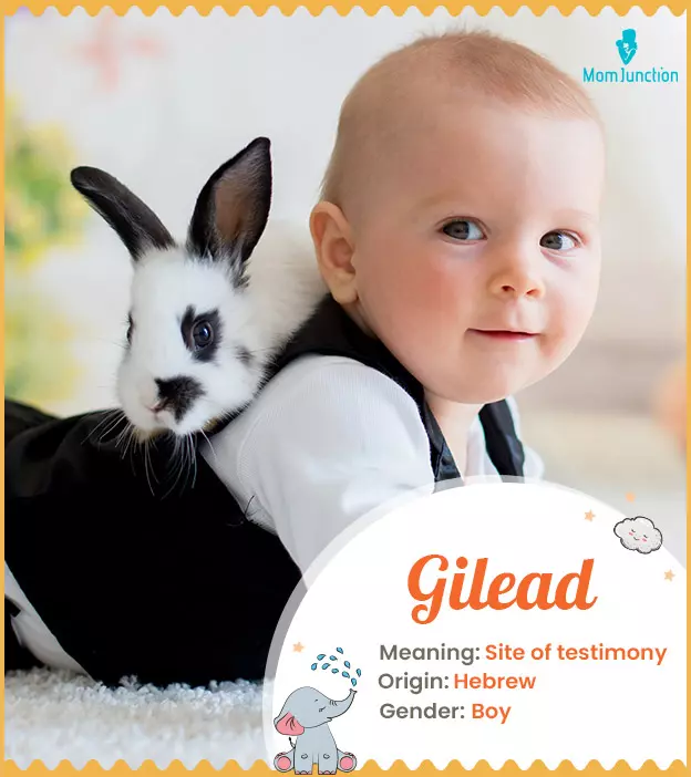 gilead: Name Meaning, Origin, History, And Popularity | MomJunction