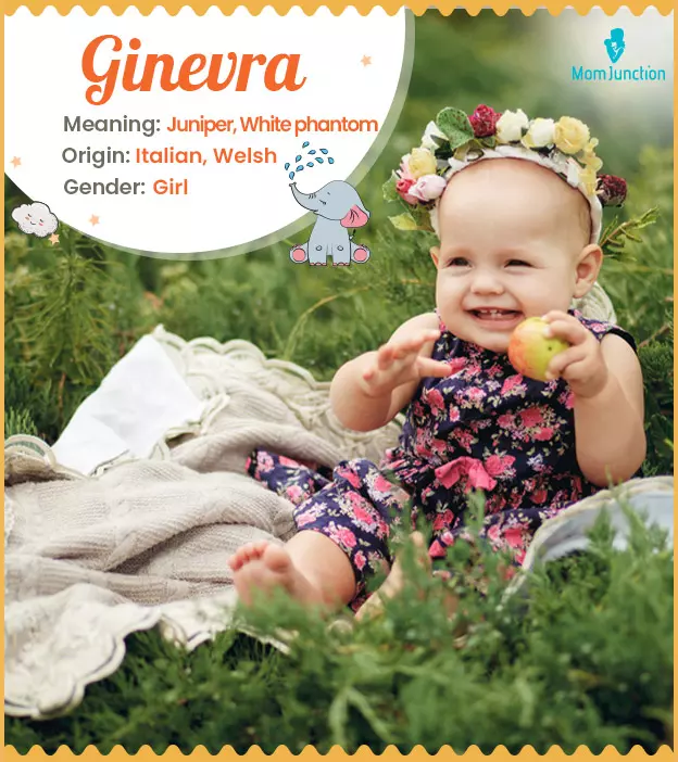 Ginevra, meaning fai