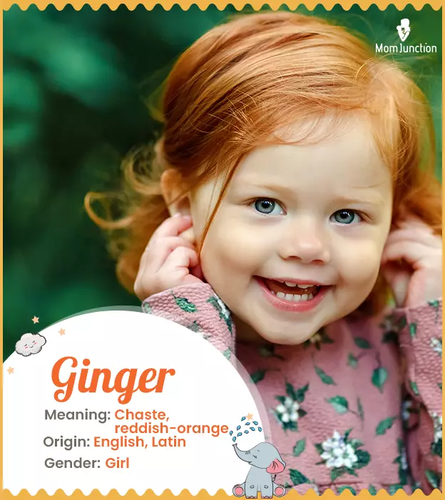 ginger: Name Meaning, Origin, History, And Popularity | MomJunction