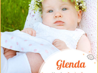 Glenda, the good child of parents
