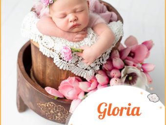 Gloria meaning immortal glory