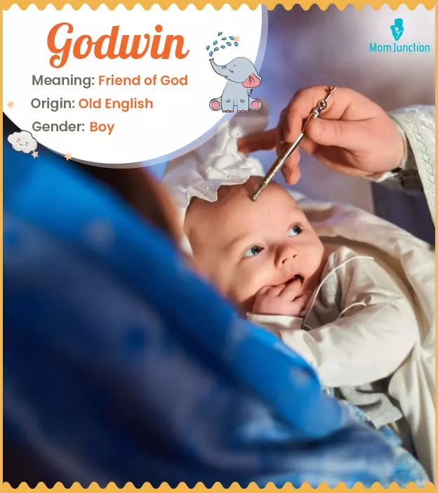 Godwin Name, Meaning, Origin, History, And Popularity | MomJunction