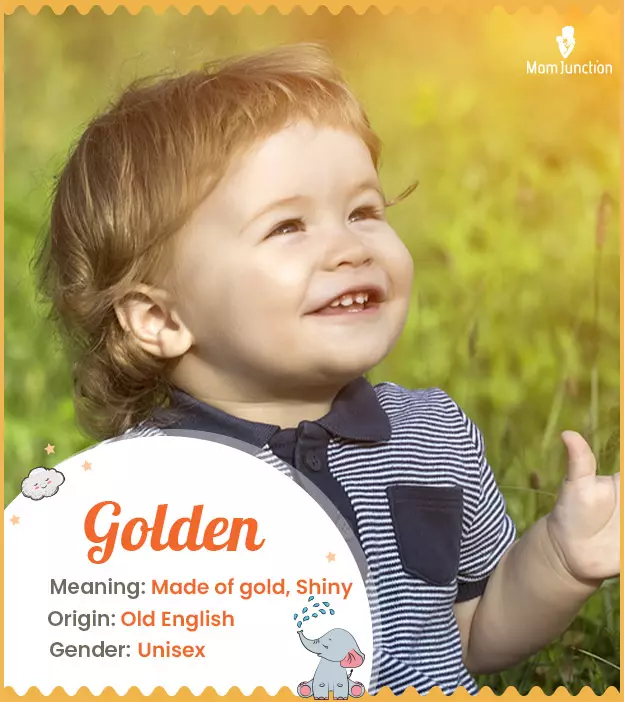 Explore Golden: Meaning, Origin & Popularity | MomJunction