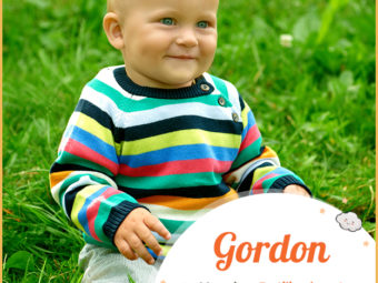 Gordon means fertilized pasture