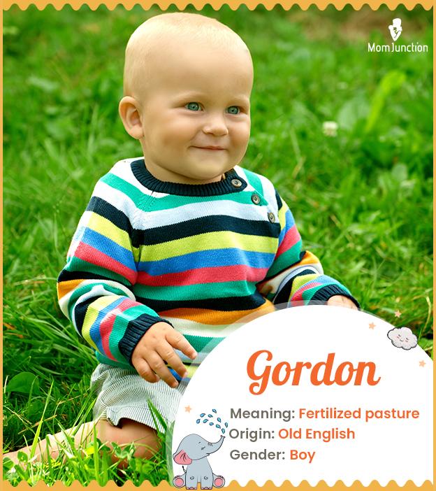 Gordon Name Meaning, Origin, History, And Popularity_image