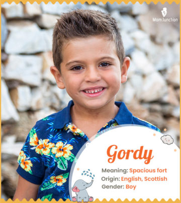 Explore Gordy: Meaning, Origin & Popularity_image