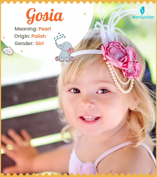 Gosia Name, Meaning, Origin, History, And Popularity_image