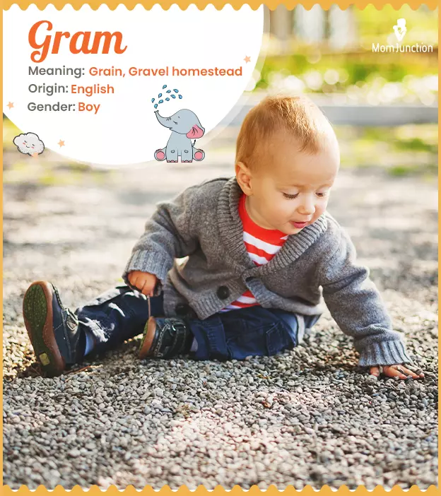 Gram Name, Meaning, Origin, History, And Popularity | MomJunction