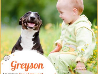 Greyson, meaning son on steward