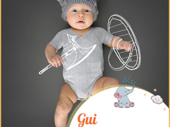 Gui meaning Will helmet