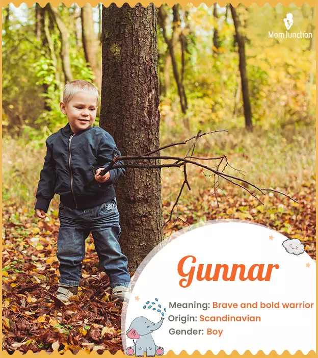 Gunnar Name Meaning, Origin, History, And Popularity_image