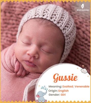 Explore Gussie: Meaning, Origin & Popularity_image