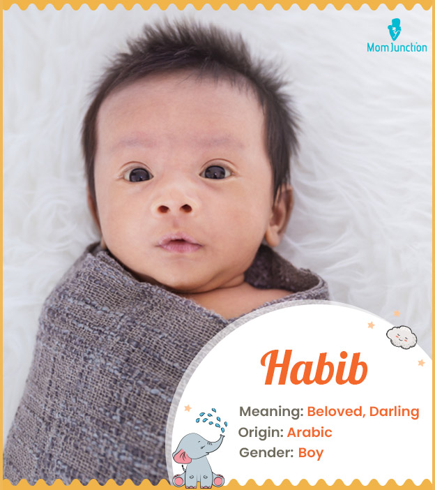 Habib Name, Meaning, Origin, History, And Popularity