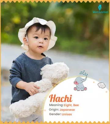 Explore Hachi: Meaning, Origin & Popularity_image