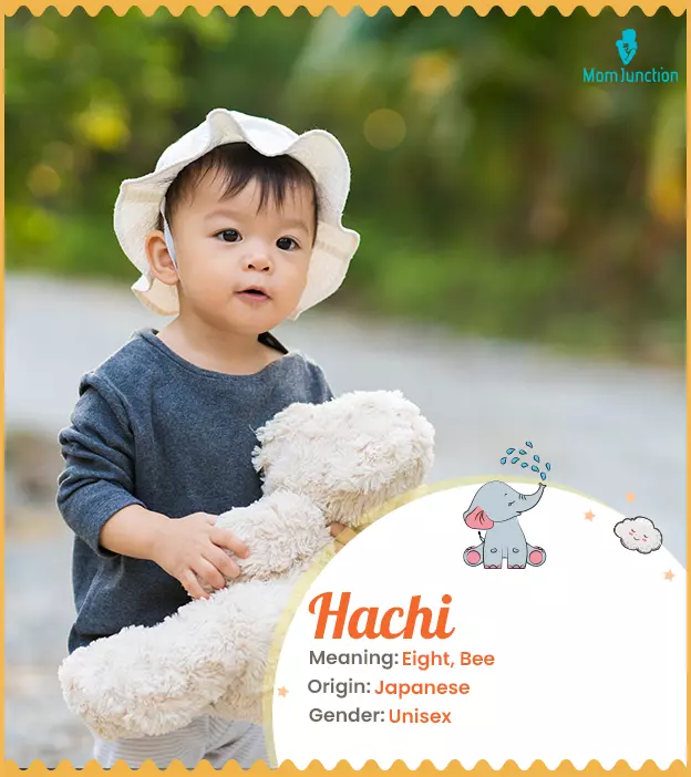 Hachi, a number-insp