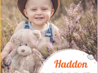 Haddon means heathland hill