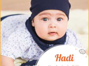 Hadi means a guide or leader
