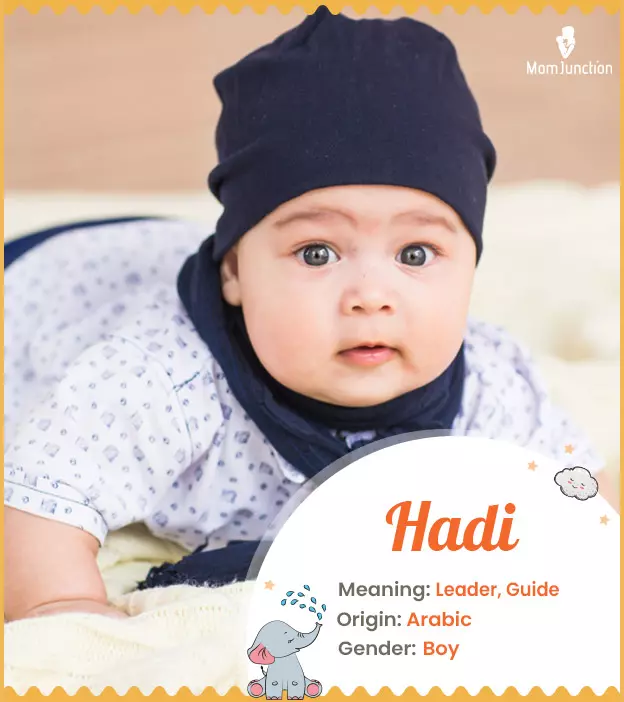 hadi: Name Meaning, Origin, History, And Popularity_image