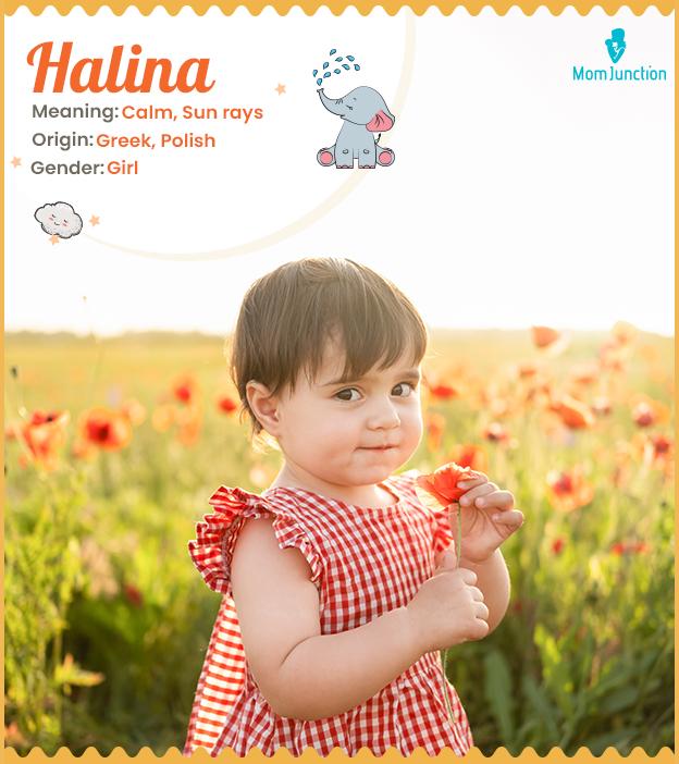 Halina Name Meaning, Origin, History, And Popularity_image