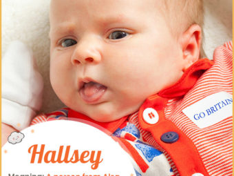 Hallsey means a person from Alsa or Halsway