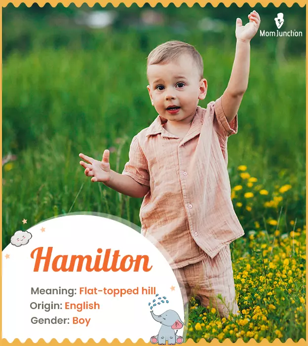 hamilton: Name Meaning, Origin, History, And Popularity_image