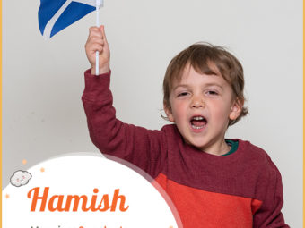 Hamish meaning Supplanter