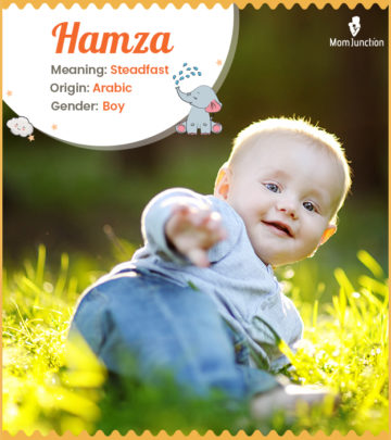 Hamza, the little strong lion