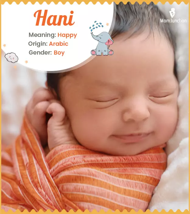 hani: Name Meaning, Origin, History, And Popularity_image