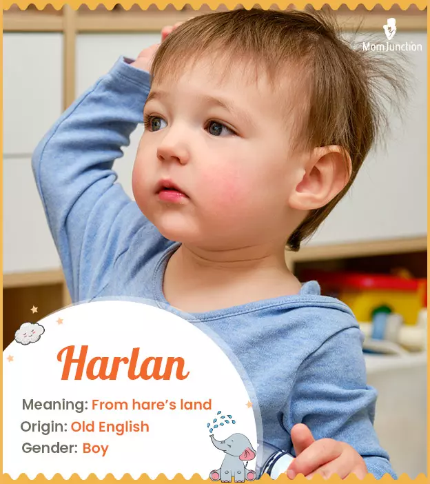 harlan: Name Meaning, Origin, History, And Popularity | MomJunction