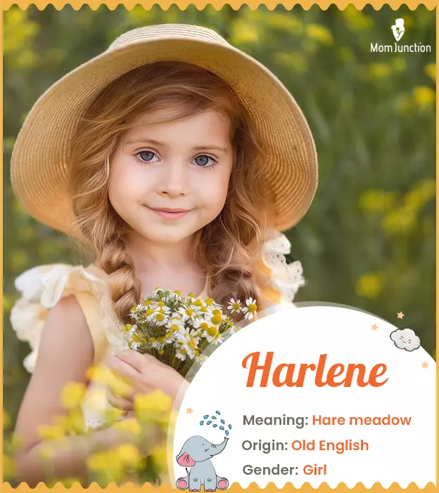 Harlene, referring t