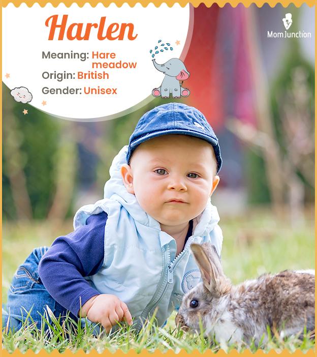 Harlan, from hare’s land.