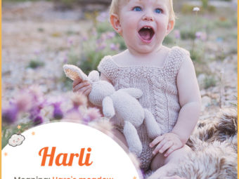 Harli means hare