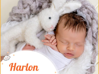 Harlon, meaning a hare land