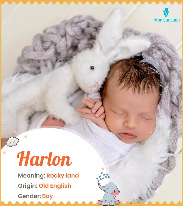 Explore Harlon: Meaning, Origin & Popularity | MomJunction