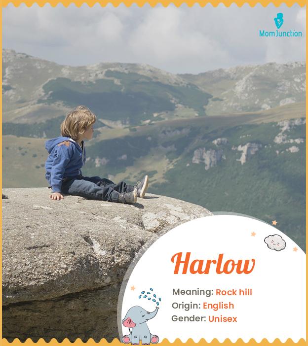 harlow: Name Meaning, Origin, History, And Popularity_image